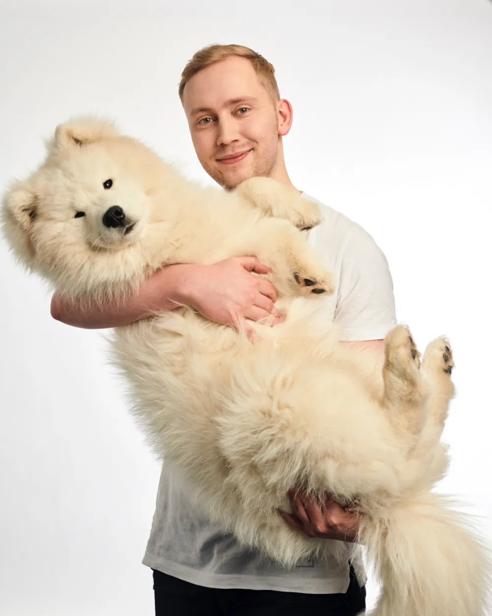 Yeti — samojed, w którego pamięci powstało Hau Now
