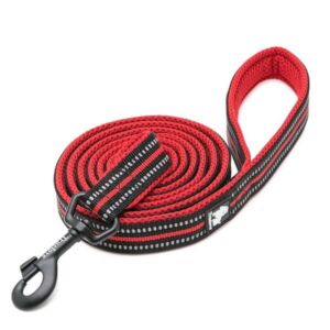 Truelove Active Smycz dla psa czerwona 200 cm