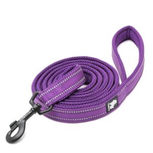 Truelove Active smycz dla psa fioletowa 200 cm