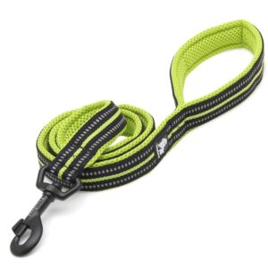 Truelove Active smycz dla psa zielona 200 cm