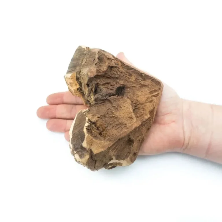 4dogs torgas gryzak z korzenia wrzośca L 4dogs torgas gryzak z korzenia wrzośca L