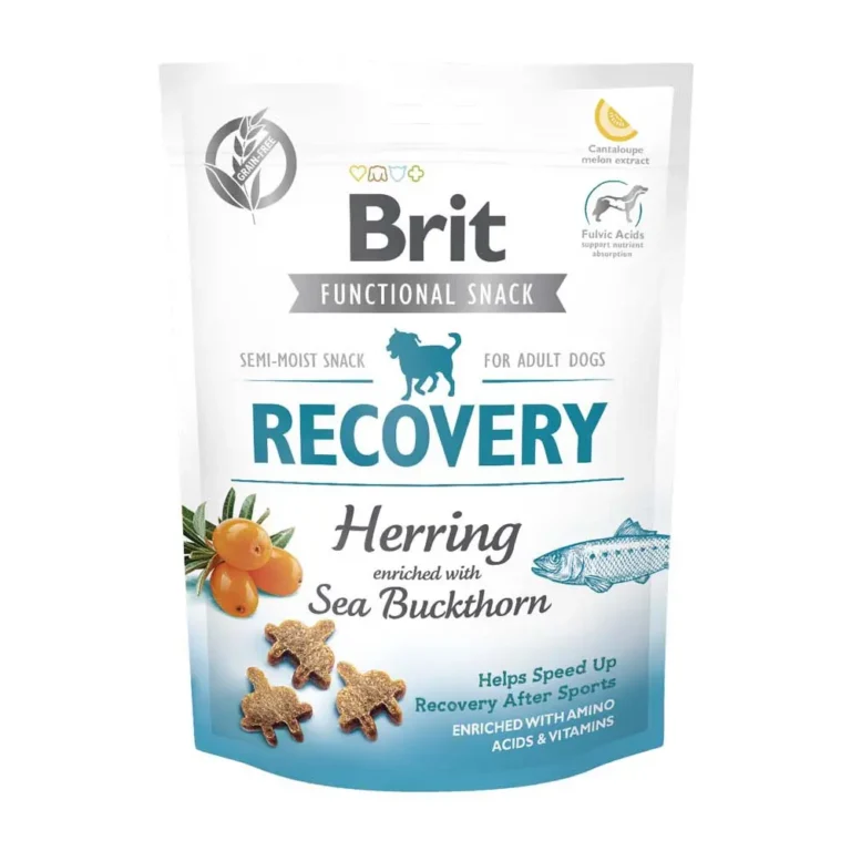 BRIT FUNCTIONAL SNACK RECOVERY BRIT FUNCTIONAL SNACK RECOVERY