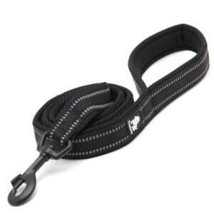 Truelove Active smycz dla psa czarna 200 cm