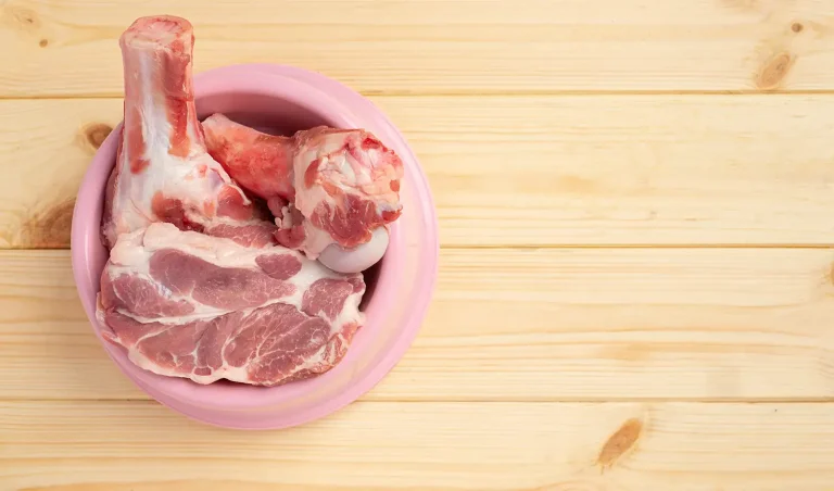 Jakie mięso może jeść pies?