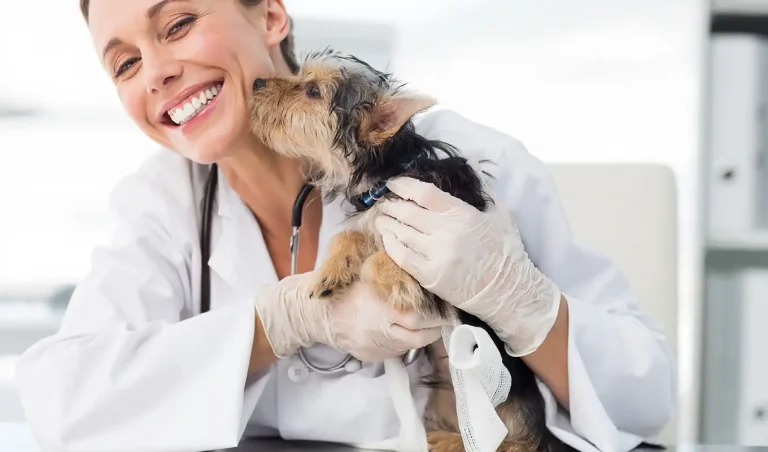 Pierwsze szczepienia psa – poradnik