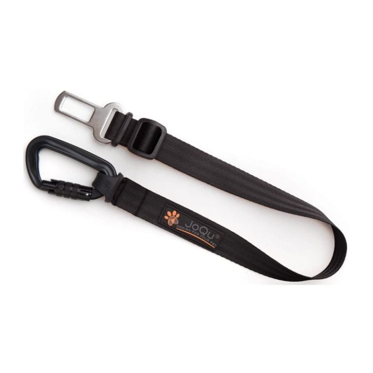 długi pas dla psa do samochodu joqu długi pas dla psa do samochodu joqu