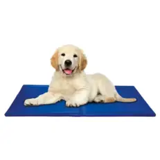 mata chłodząca dla psa