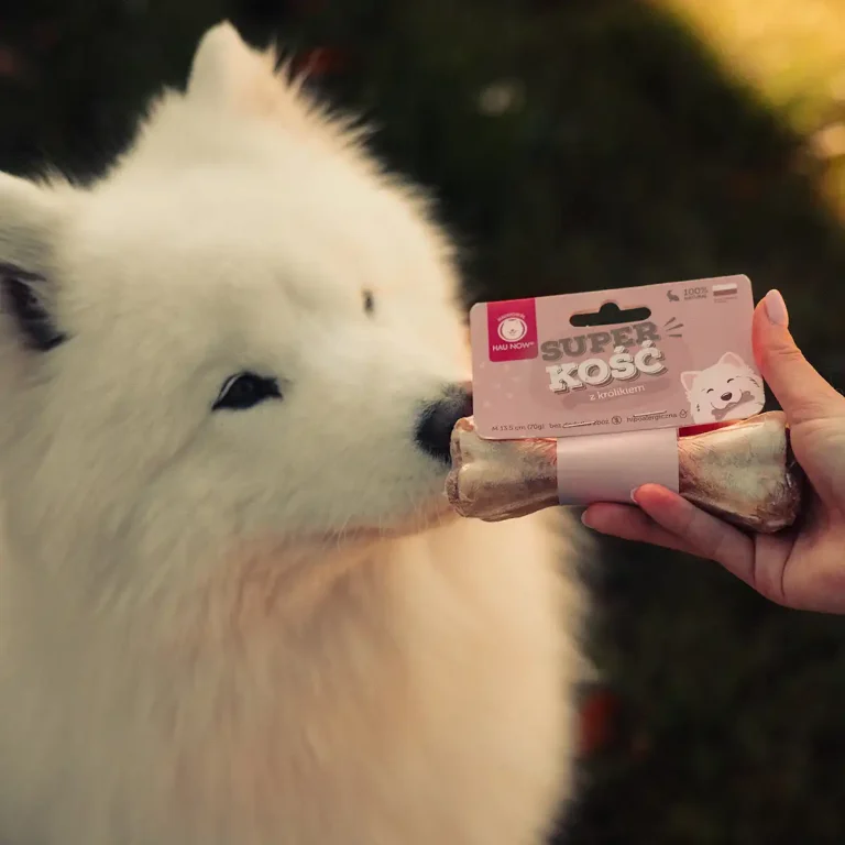 Mia kosc z krolikiem Mia i kosc z krolikiem