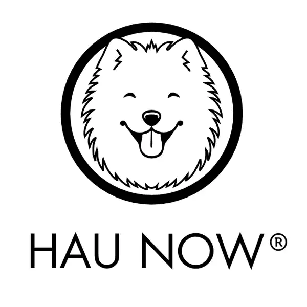 Kamil Nowak Hau Now logo