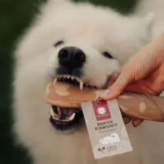 Mia łapie patyk kawowy