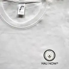 koszulka męska hau now