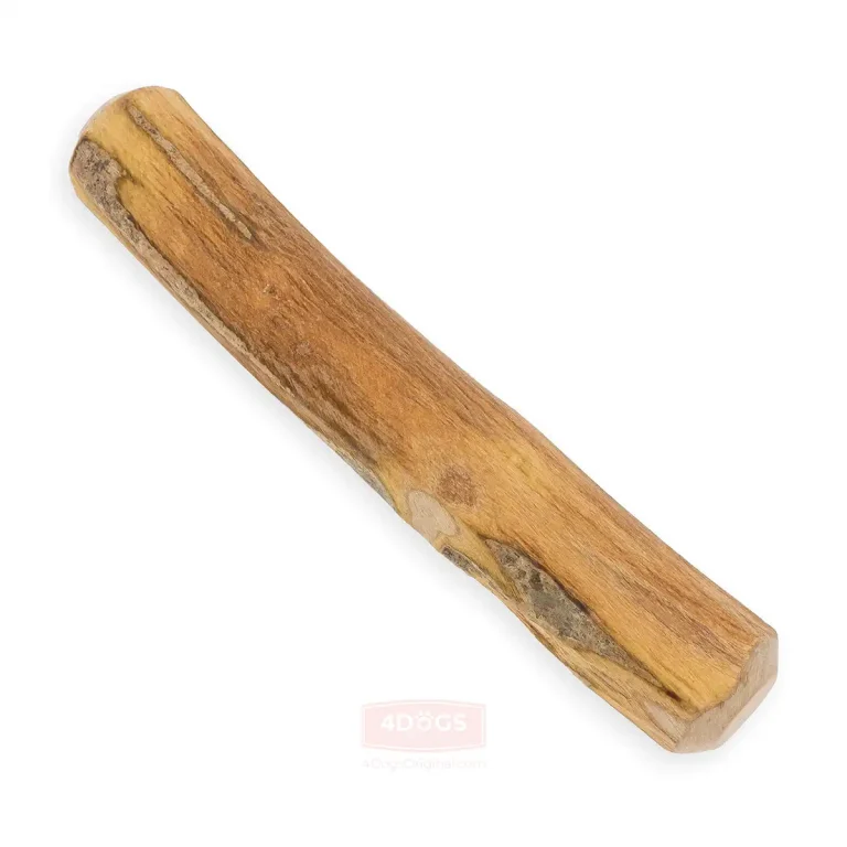 patyk z drzewa oliwnego patyk z drzewa oliwnego