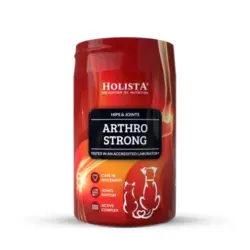 Holista Arthro Strong na stawy