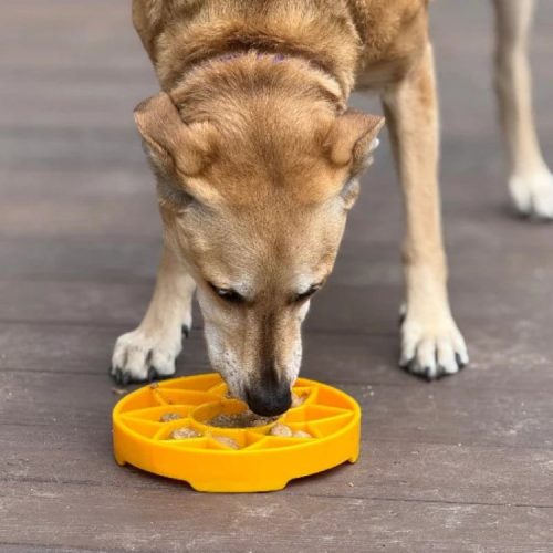 sodapup miska slonecznik 3 sodapup miska slonecznik 3