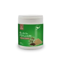 Pokusa Babka Płesznik (Psyllium)