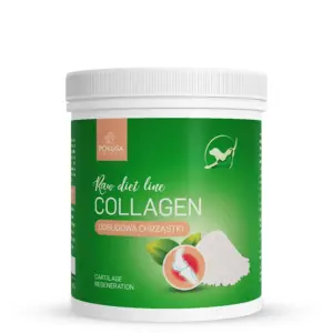 Pokusa RawDietLine Kolagen (Collagen) 200 g