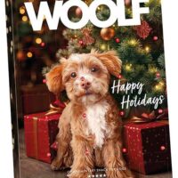 Woolf Kalendarz adwentowy dla psa