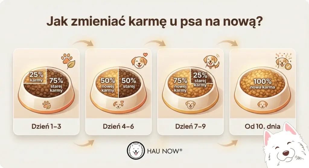 jak zmieniać karmę u psa na nową?