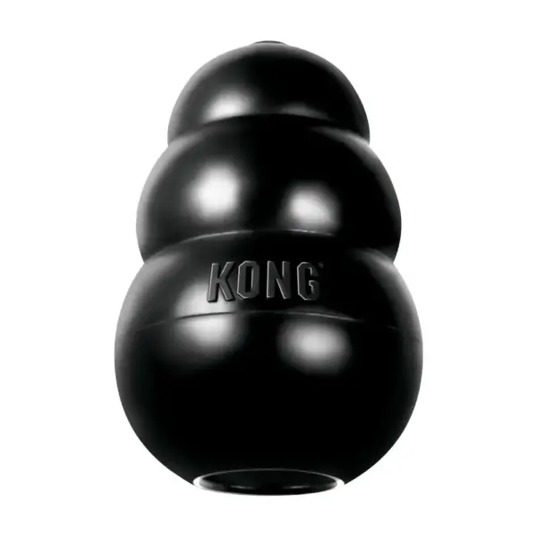 KONG Extreme zabawka dla psa, który mocno gryzie