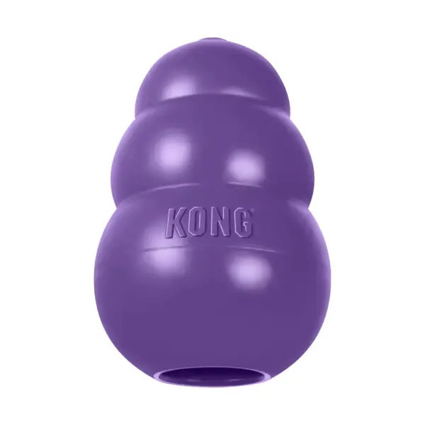 KONG Senior zabawka dla starszego psa